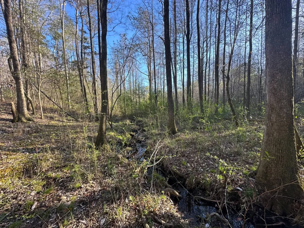000 County Road 15 Maplesville AL 36750