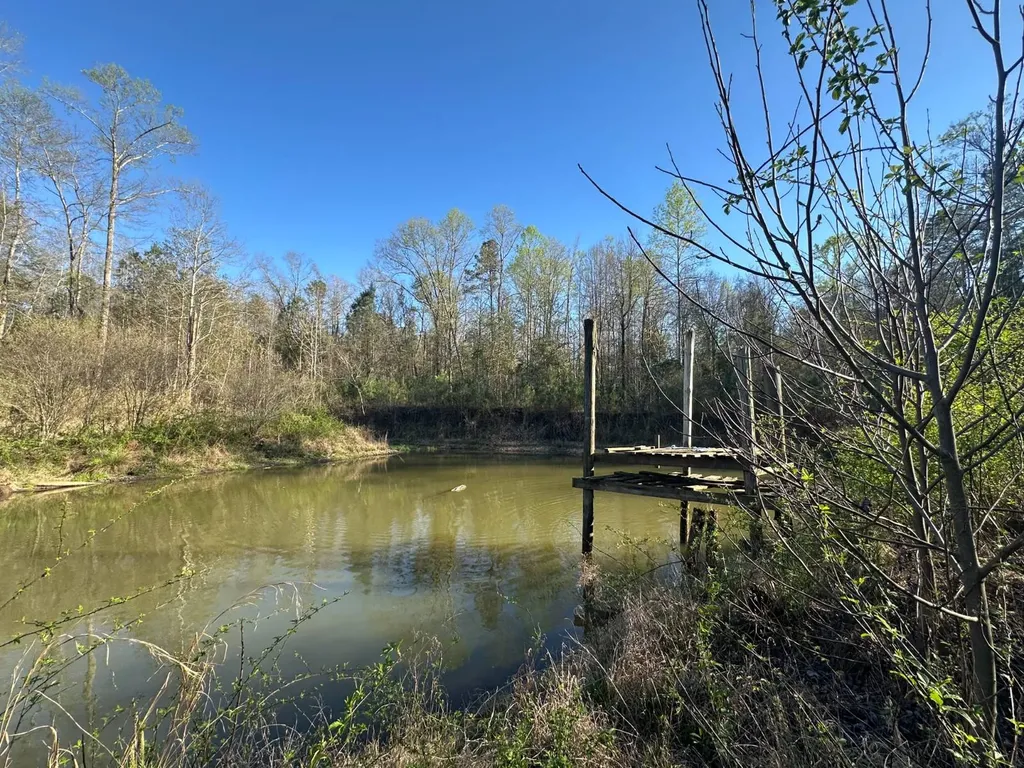 000 County Road 15 Maplesville AL 36750
