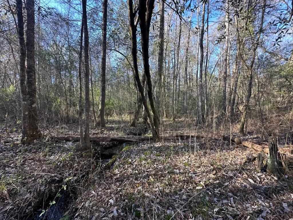 000 County Road 15 Maplesville AL 36750
