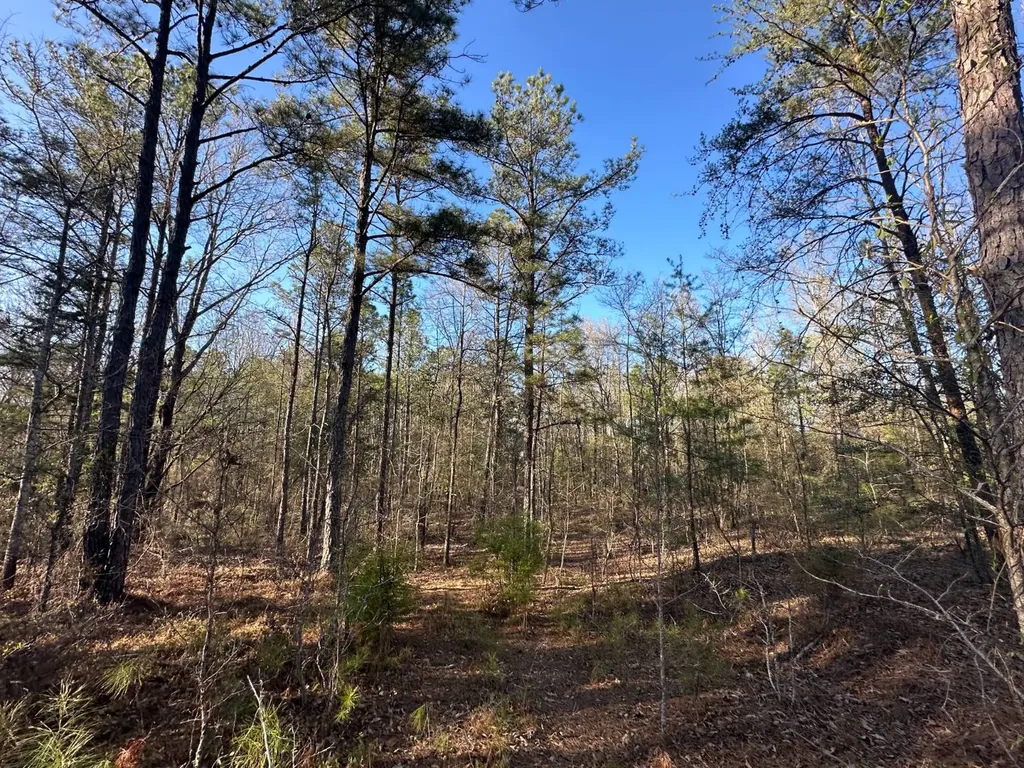 000 County Road 15 Maplesville AL 36750