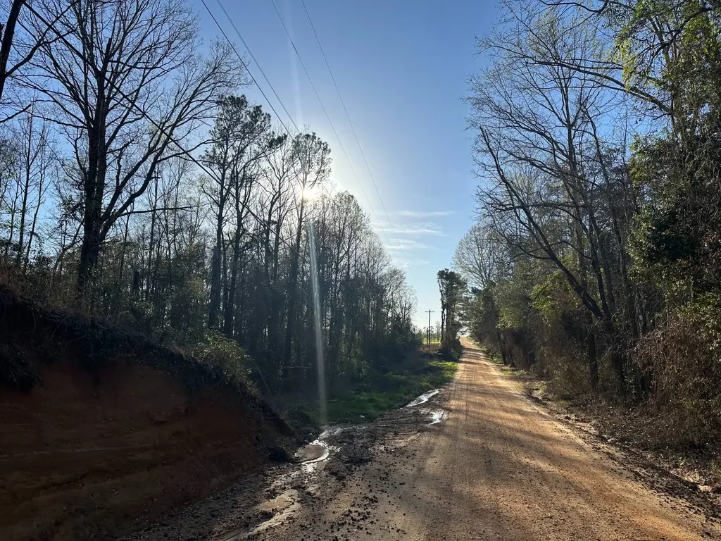 000 County Road 15 Maplesville AL 36750