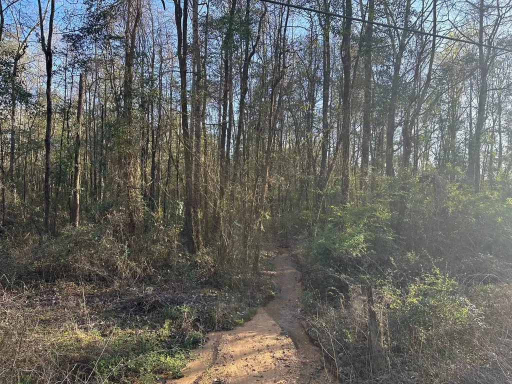 000 County Road 15 Maplesville AL 36750