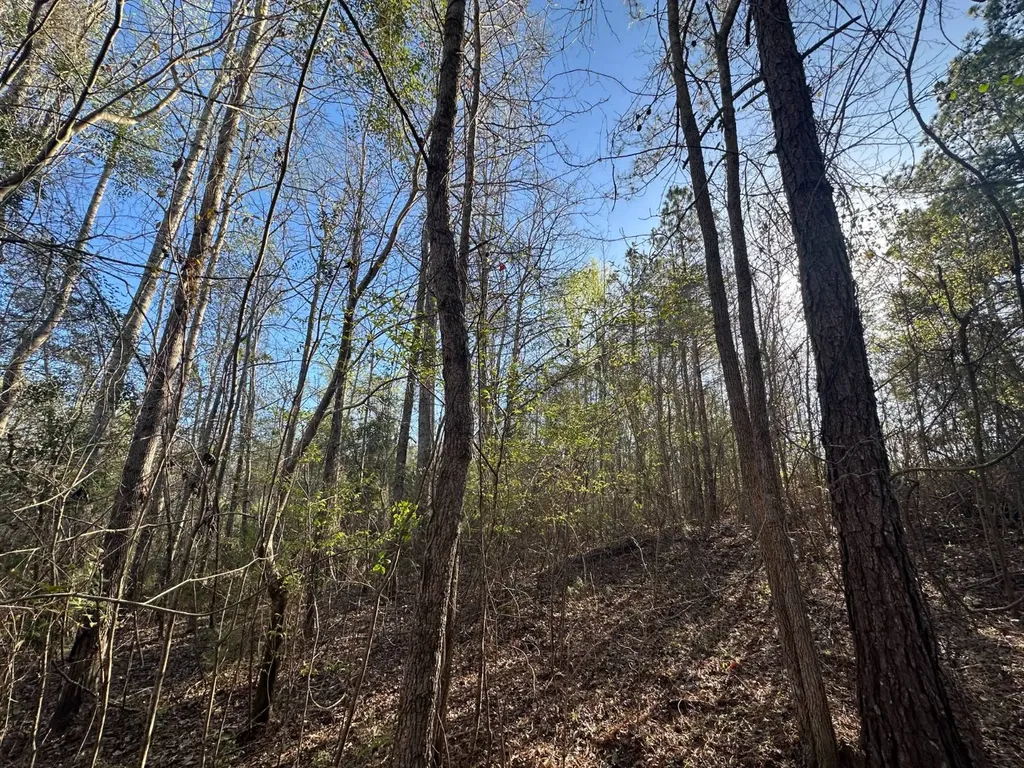 000 County Road 15 Maplesville AL 36750