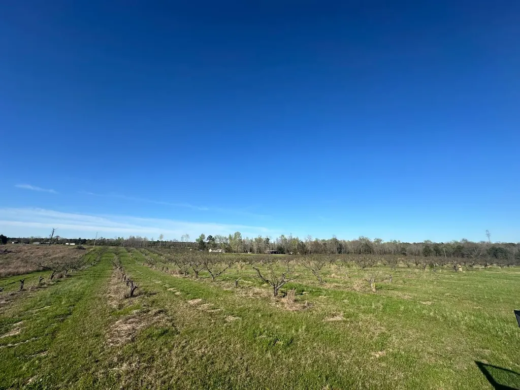 000 County Road 15 Maplesville AL 36750