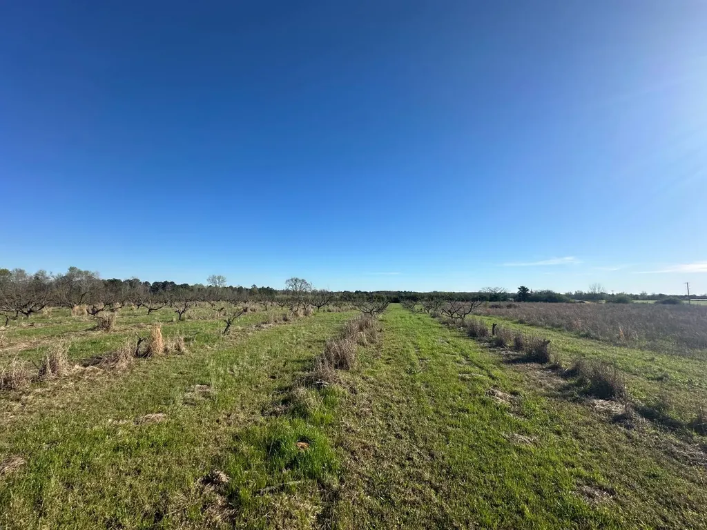 000 County Road 15 Maplesville AL 36750
