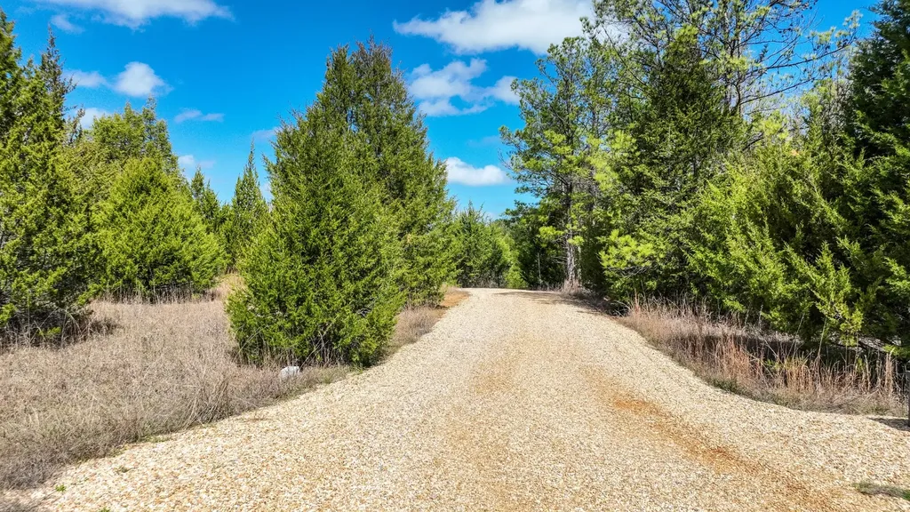 316 Cedar Pines Road Mathews AL 36052