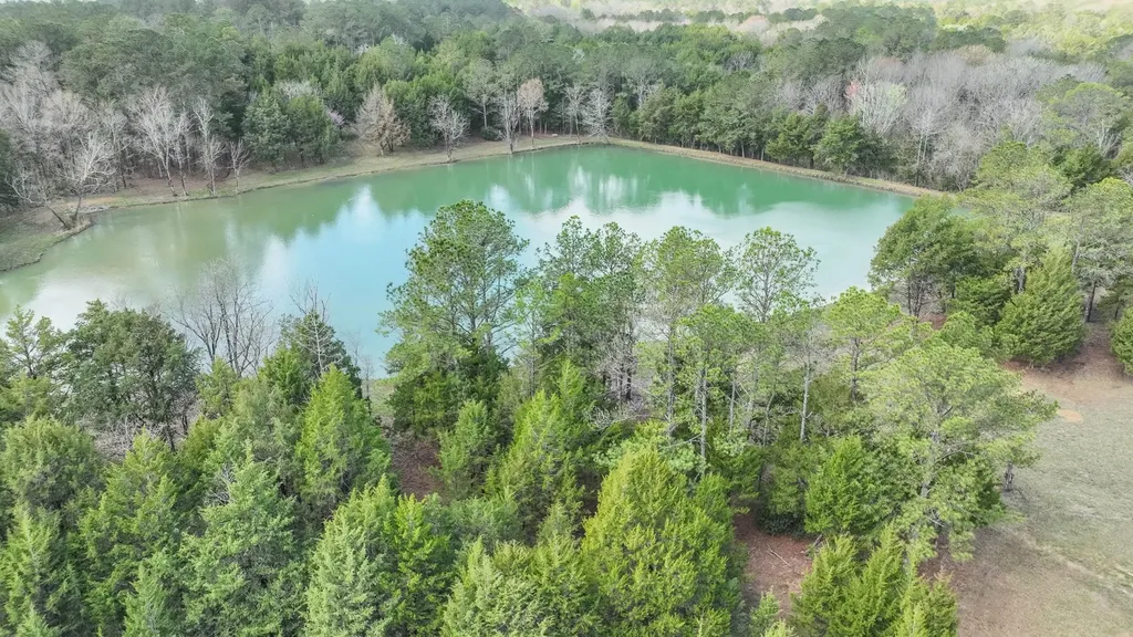 316 Cedar Pines Road Mathews AL 36052