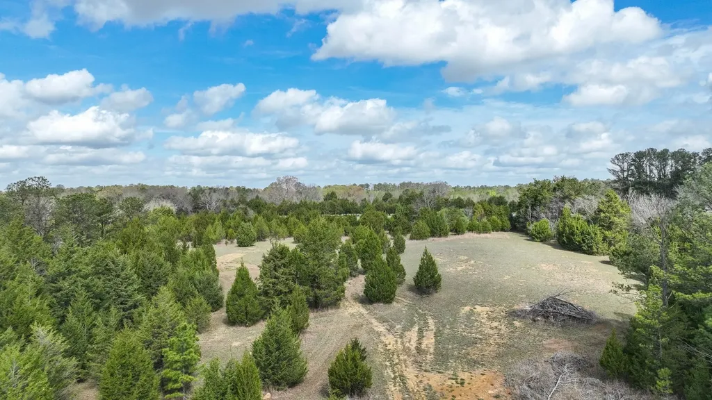 316 Cedar Pines Road Mathews AL 36052