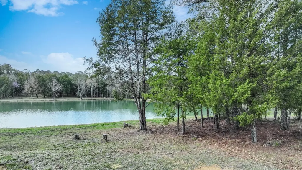 316 Cedar Pines Road Mathews AL 36052