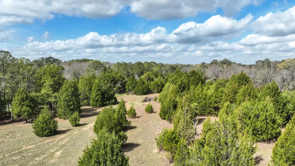 316 Cedar Pines Road Mathews AL 36052