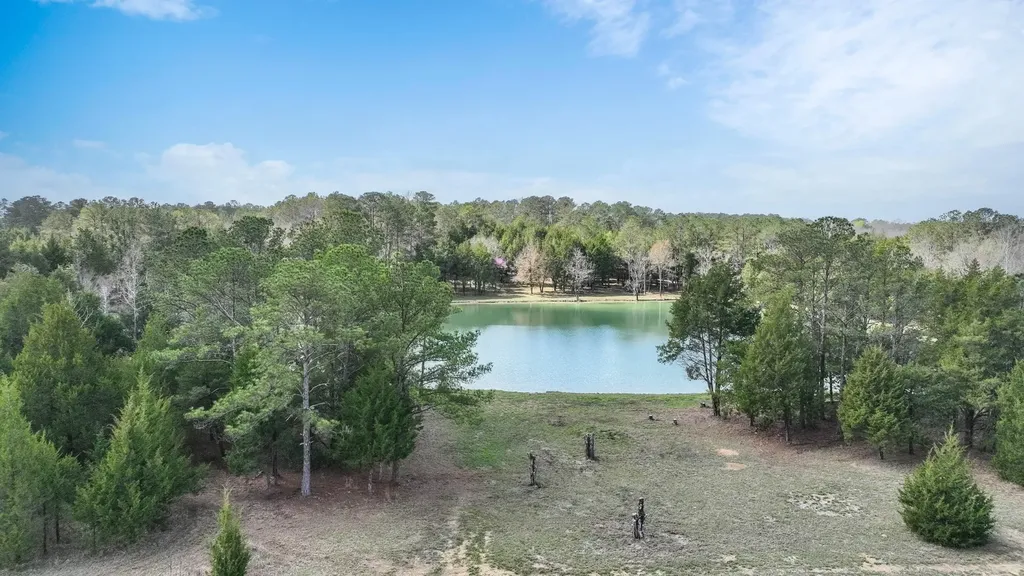 316 Cedar Pines Road Mathews AL 36052