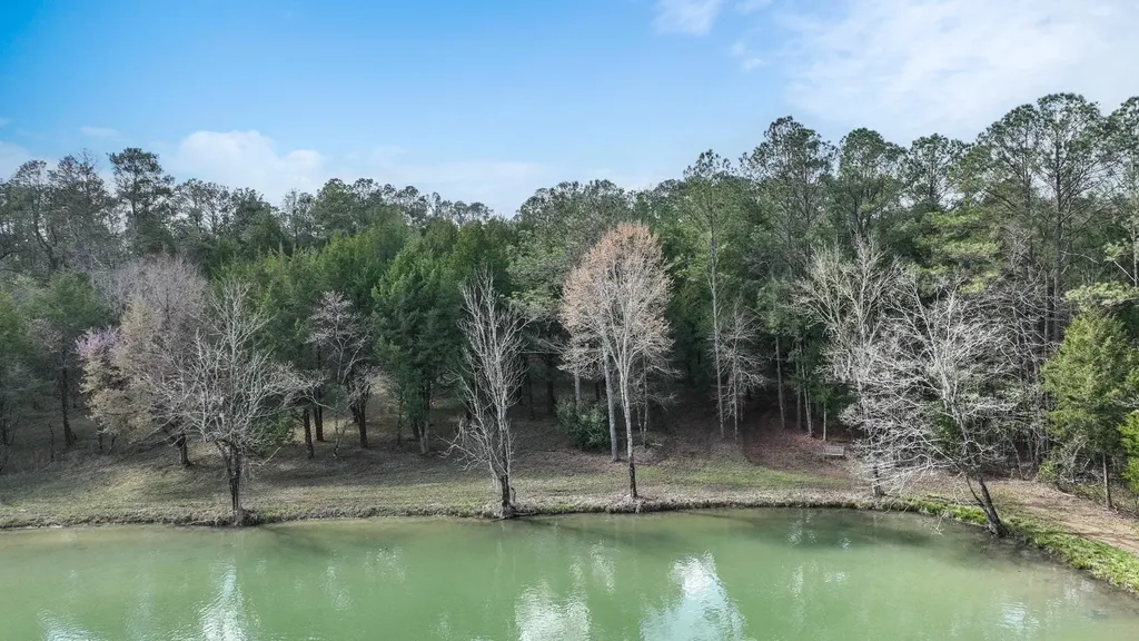 316 Cedar Pines Road Mathews AL 36052