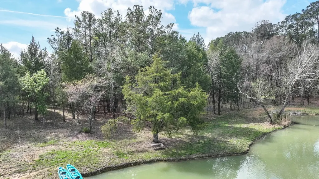 316 Cedar Pines Road Mathews AL 36052
