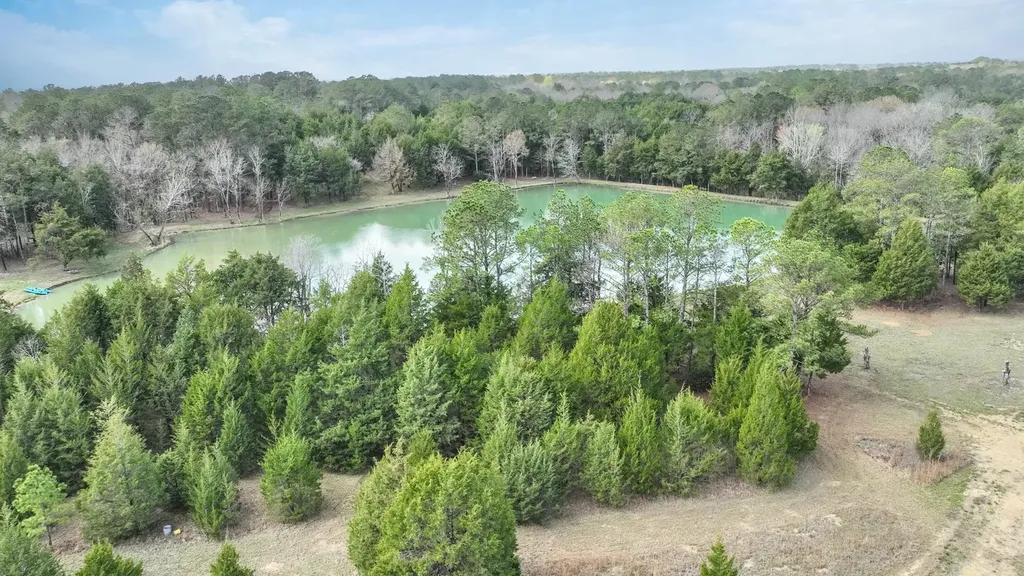 316 Cedar Pines Road Mathews AL 36052