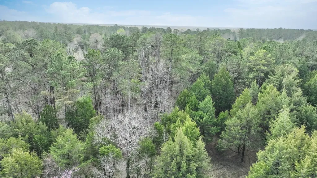316 Cedar Pines Road Mathews AL 36052