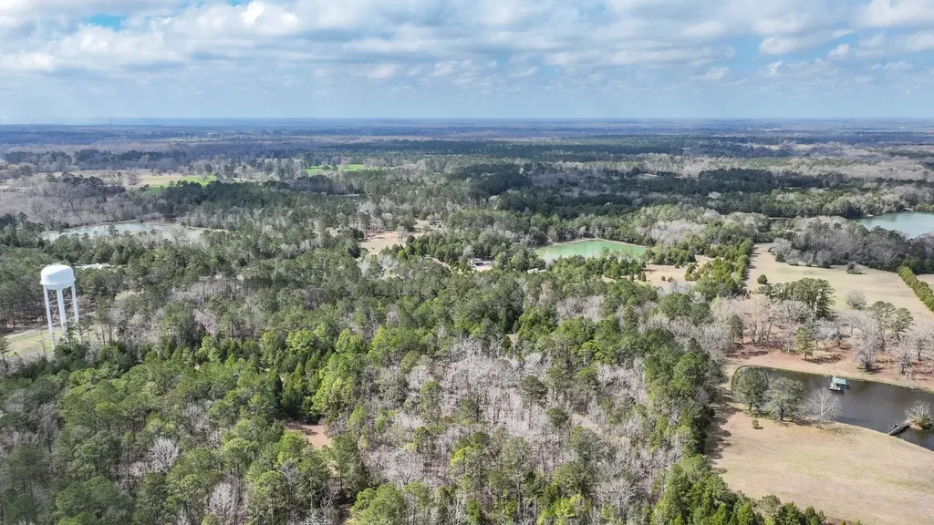316 Cedar Pines Road Mathews AL 36052