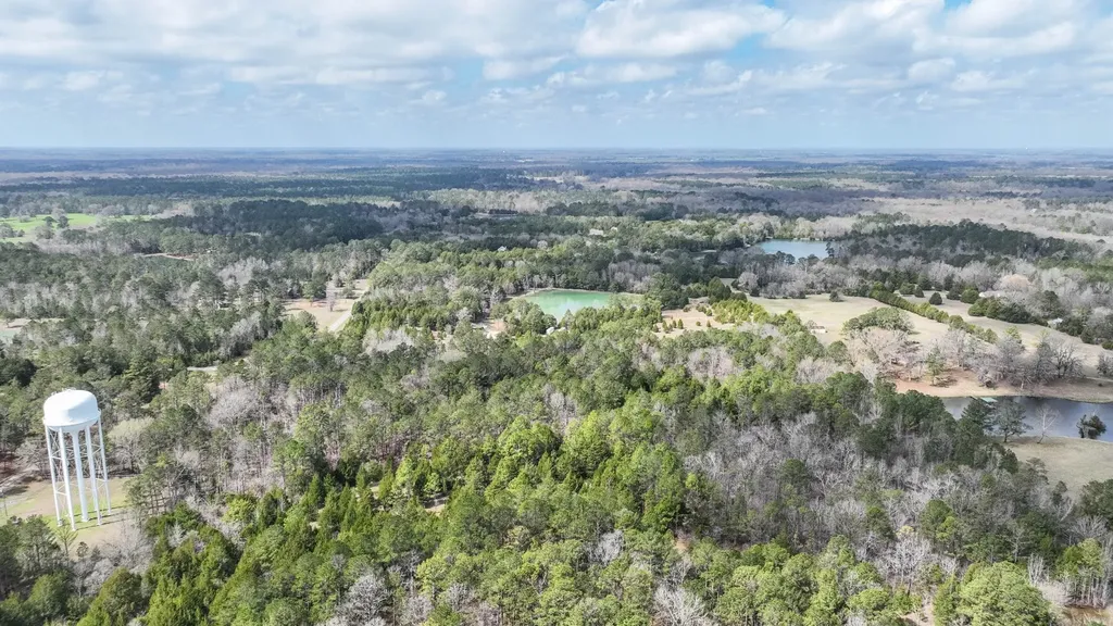 316 Cedar Pines Road Mathews AL 36052