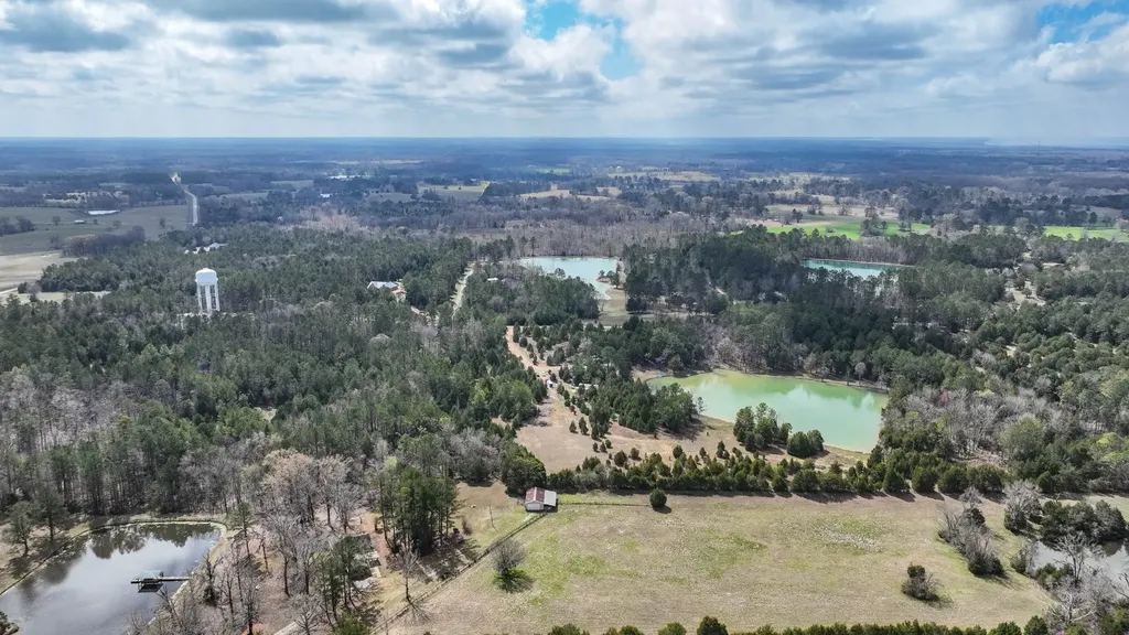 316 Cedar Pines Road Mathews AL 36052