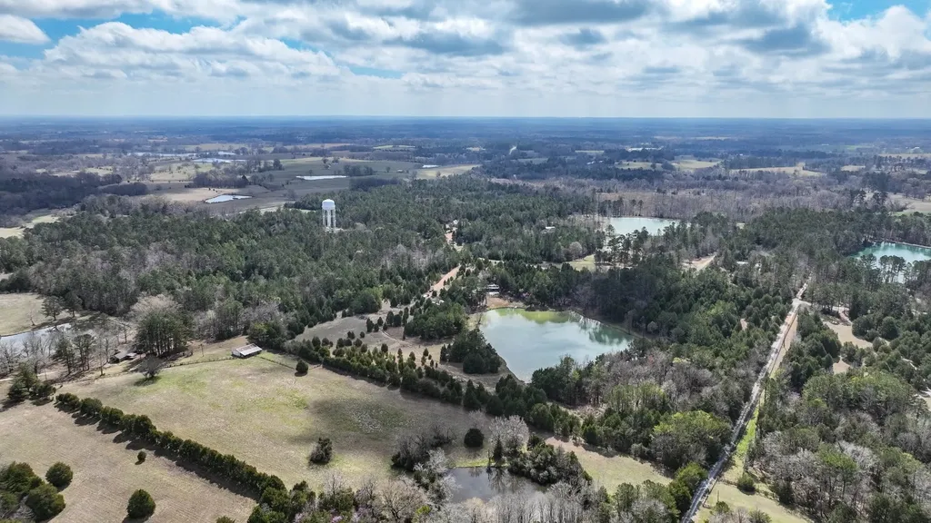 316 Cedar Pines Road Mathews AL 36052