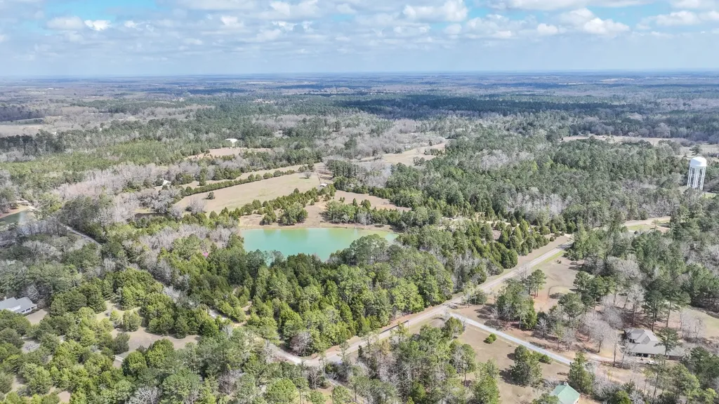 316 Cedar Pines Road Mathews AL 36052