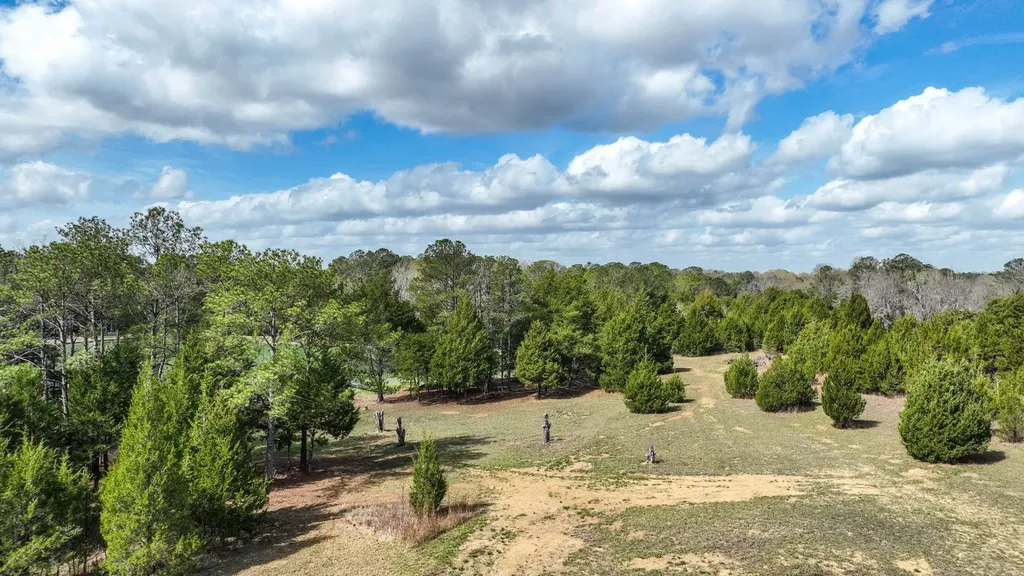 316 Cedar Pines Road Mathews AL 36052