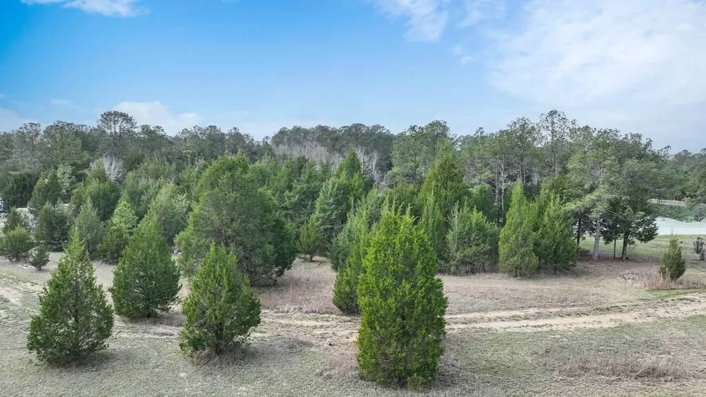 316 Cedar Pines Road Mathews AL 36052