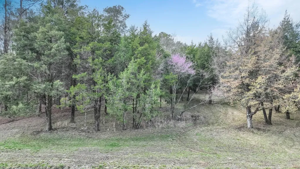 316 Cedar Pines Road Mathews AL 36052
