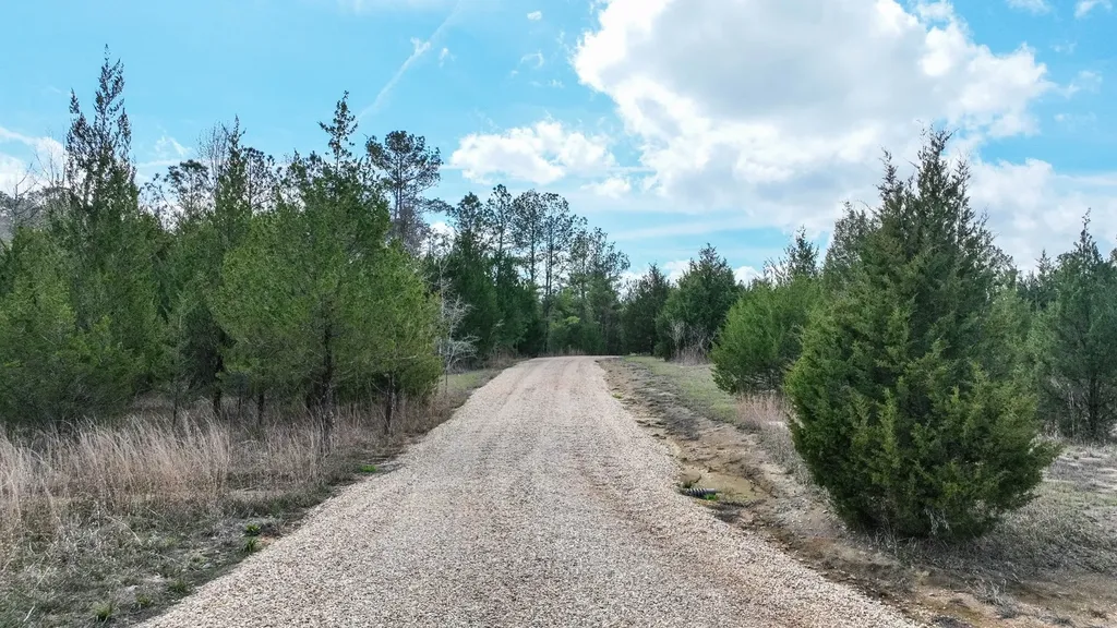 316 Cedar Pines Road Mathews AL 36052