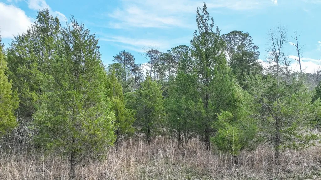 316 Cedar Pines Road Mathews AL 36052