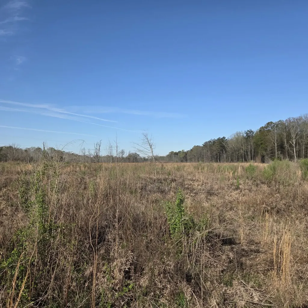 0 Jenkins Lane Montgomery East AL 36116
