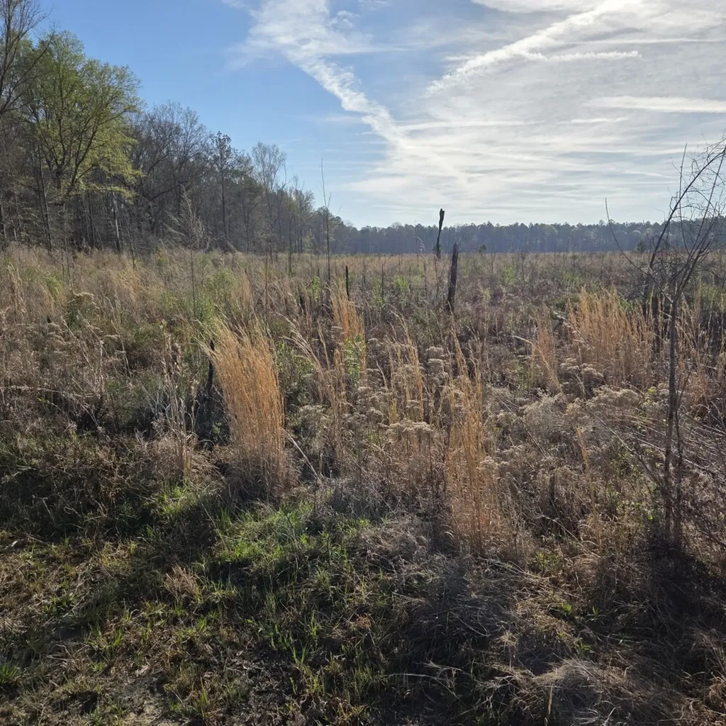 0 Jenkins Lane Montgomery East AL 36116