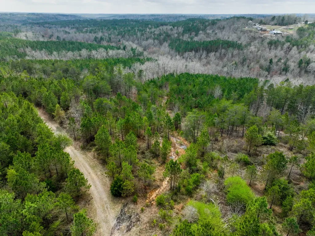 0 County Road 3217 Haleyville AL 35565