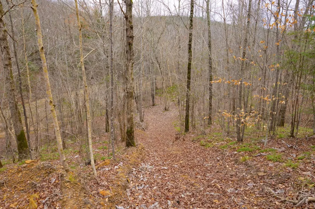 0 County Road 3217 Haleyville AL 35565