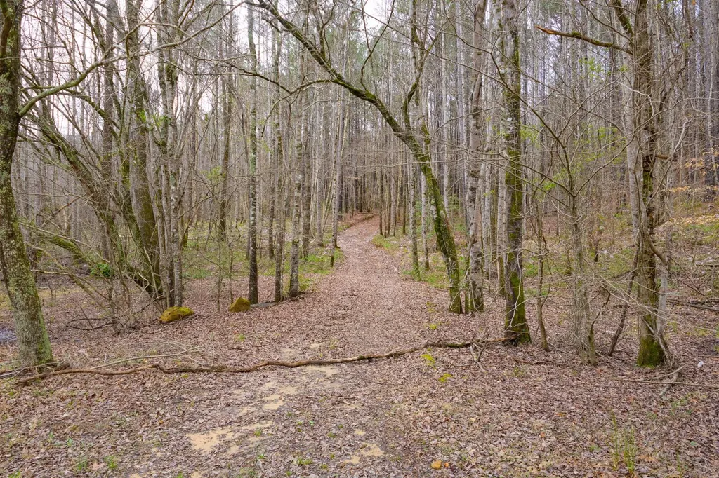 0 County Road 3217 Haleyville AL 35565