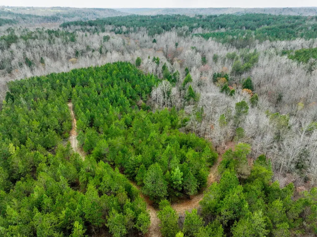 0 County Road 3217 Haleyville AL 35565