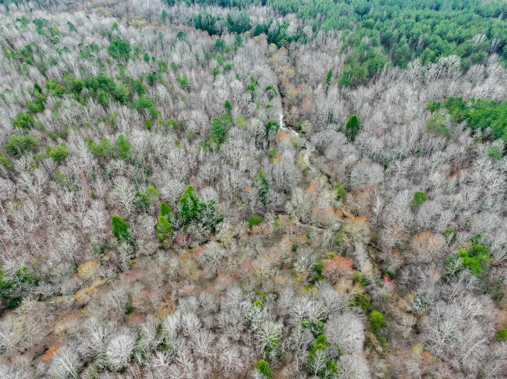 0 County Road 3217 Haleyville AL 35565