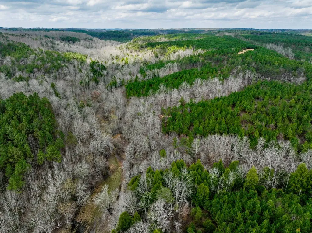 0 County Road 3217 Haleyville AL 35565