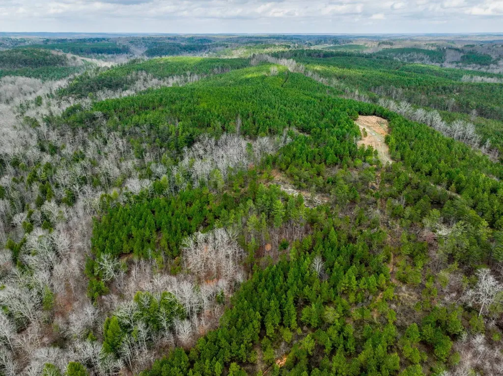 0 County Road 3217 Haleyville AL 35565