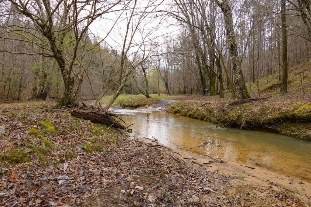 0 County Road 3217 Haleyville AL 35565