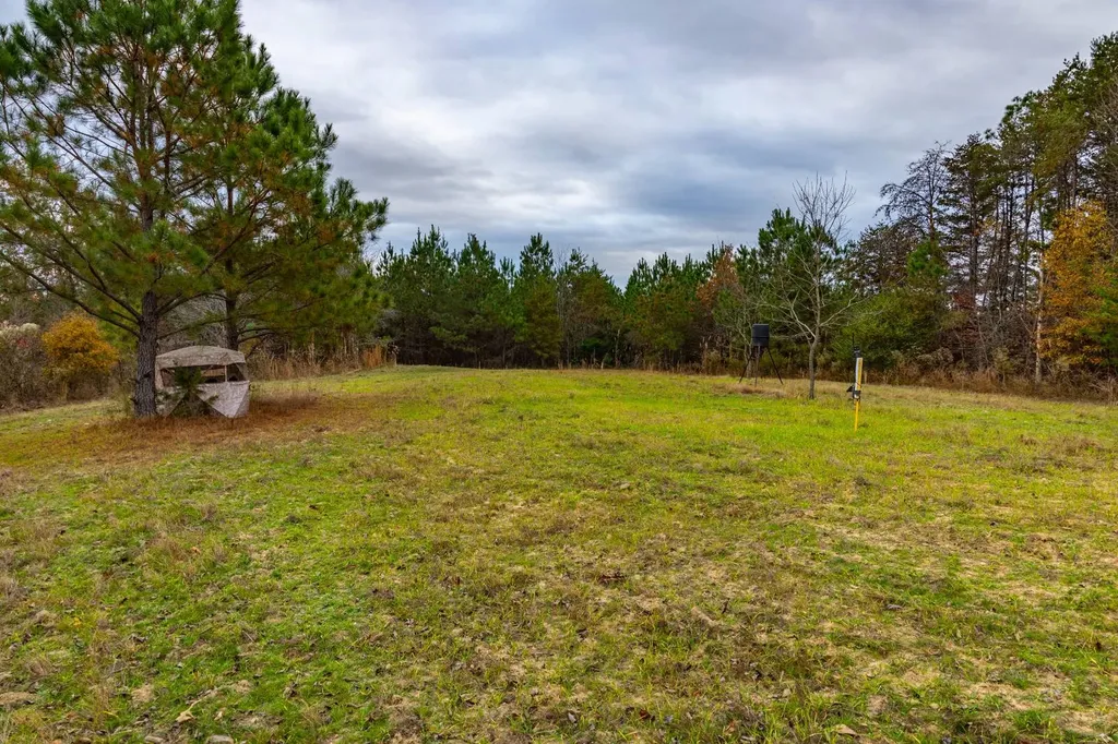 0 County Road 3217 Haleyville AL 35565