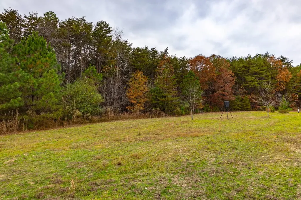 0 County Road 3217 Haleyville AL 35565
