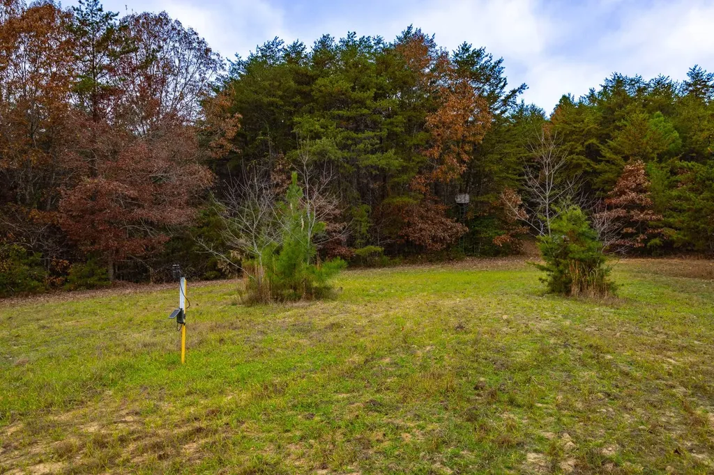0 County Road 3217 Haleyville AL 35565