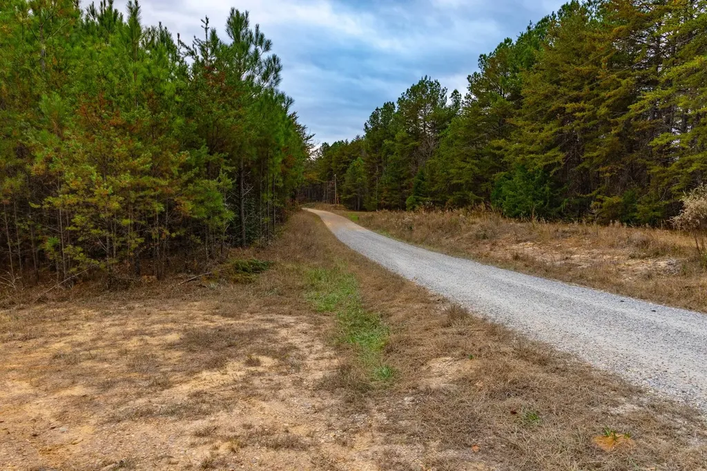 0 County Road 3217 Haleyville AL 35565
