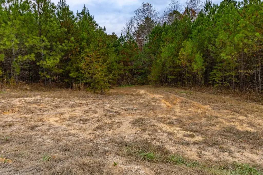 0 County Road 3217 Haleyville AL 35565