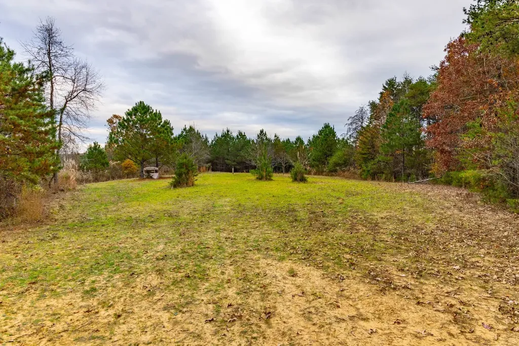 0 County Road 3217 Haleyville AL 35565