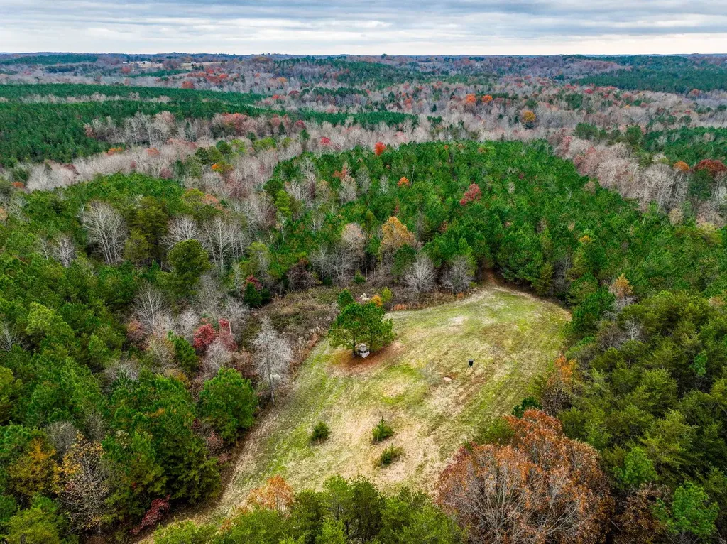 0 County Road 3217 Haleyville AL 35565