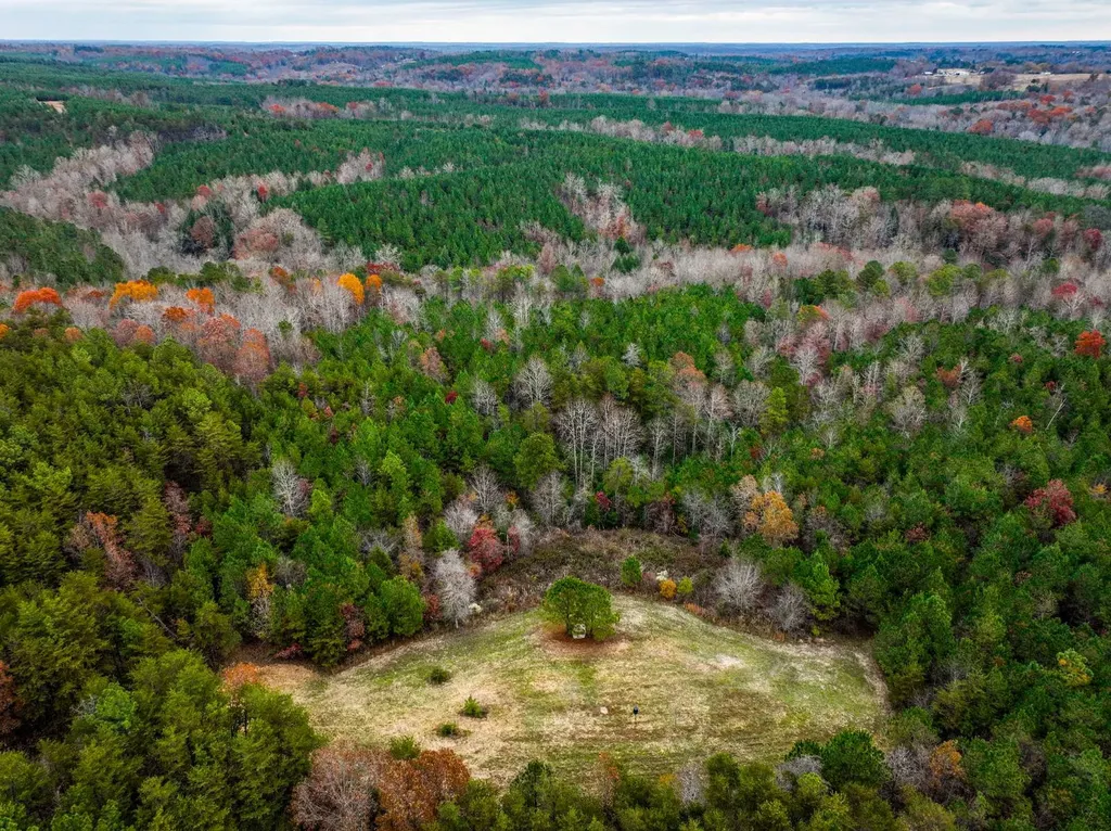0 County Road 3217 Haleyville AL 35565