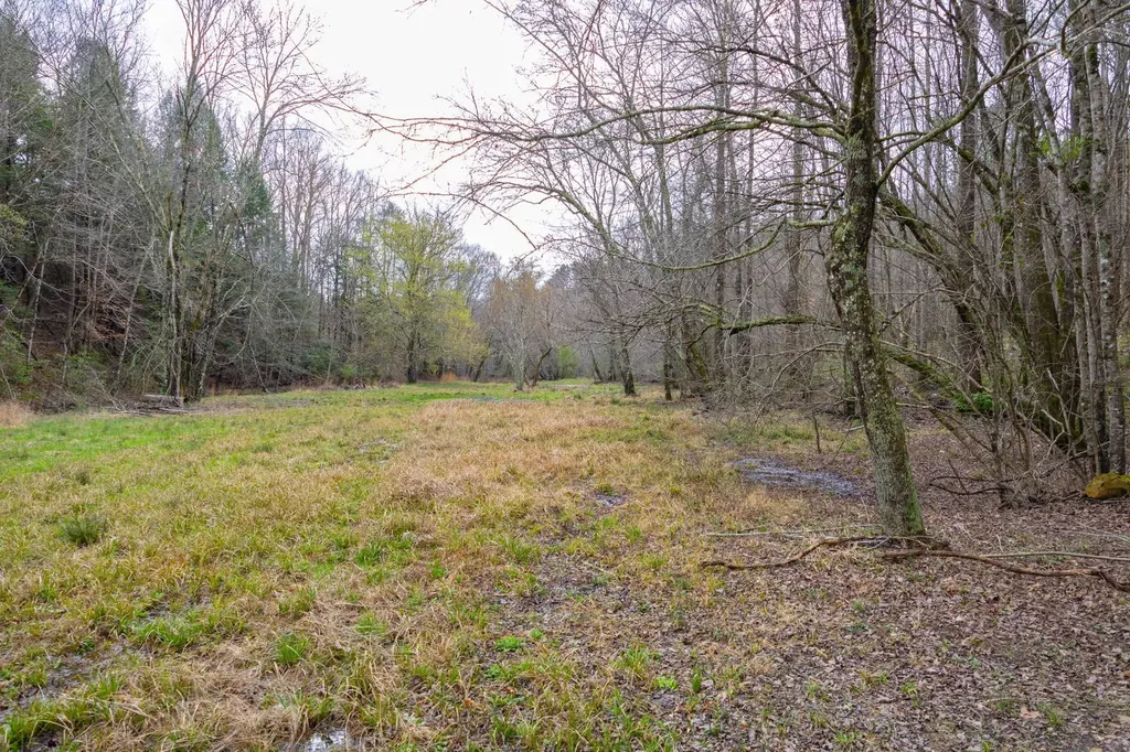 0 County Road 3217 Haleyville AL 35565