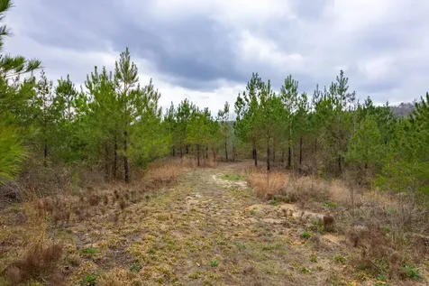 0 County Road 3217 Haleyville AL 35565