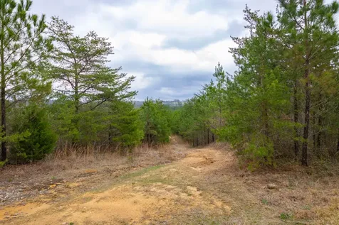 0 County Road 3217 Haleyville AL 35565